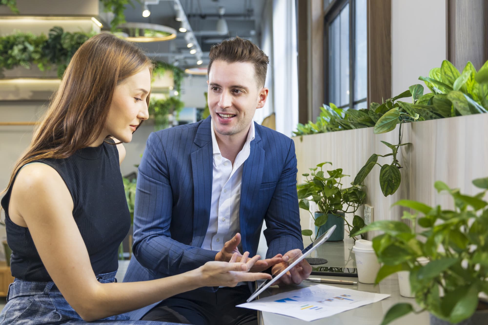 Online MBA Programs in Sustainability
